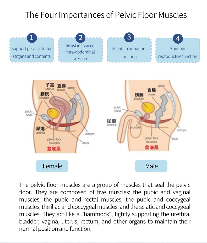 魔椅详情页 ENG